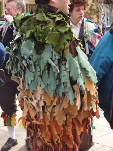 fancy tatters (oak leaves)